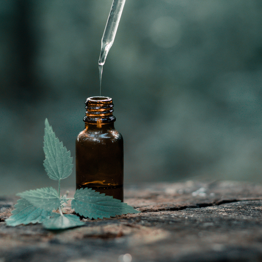 Aromatherapy: Harnessing the Power of Essential Oils