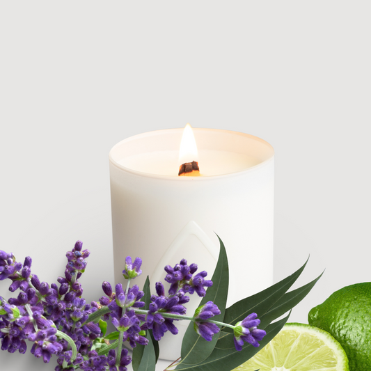 CALMING Light Lavender Candle 20h