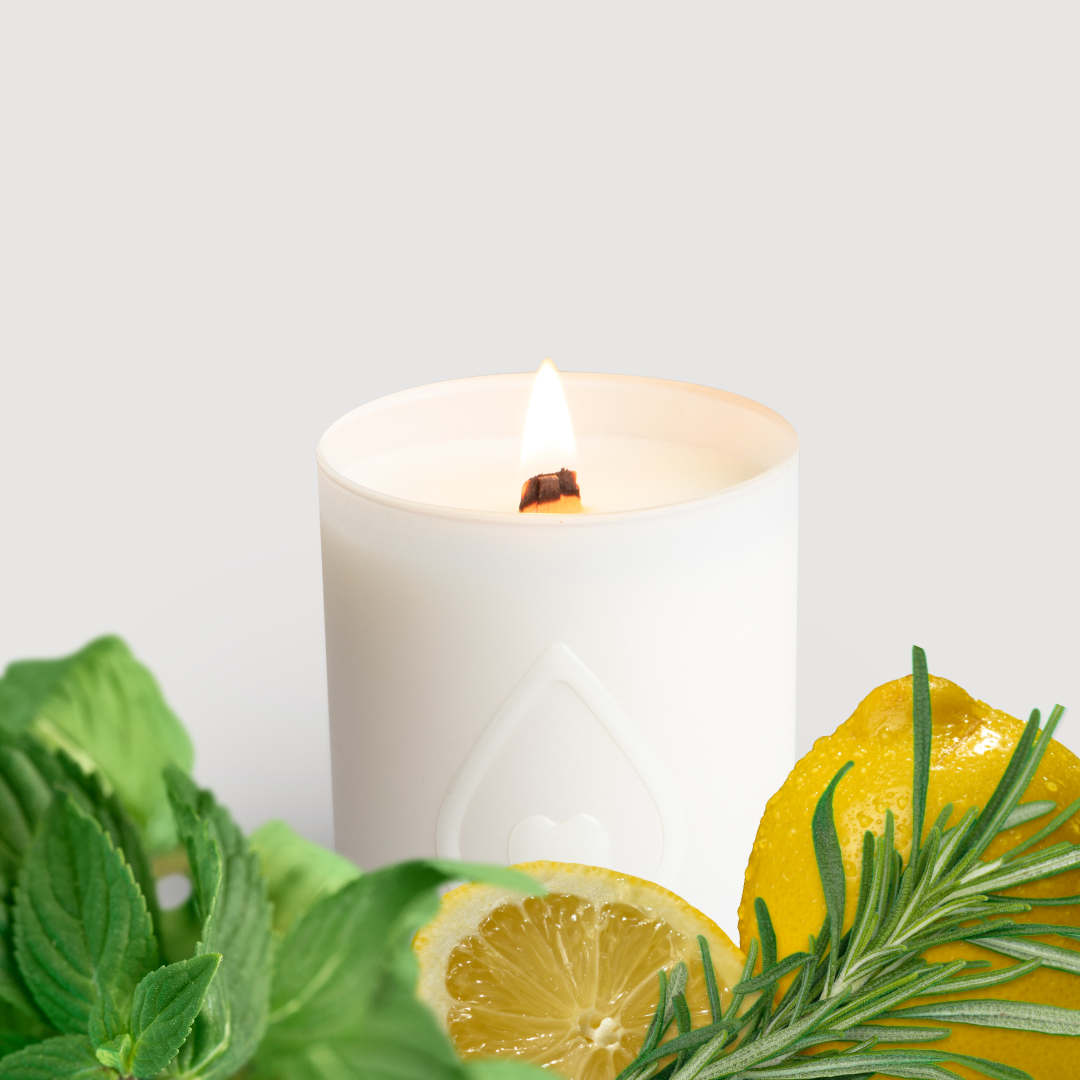 REFRESHING Tea Tree Candle 20h