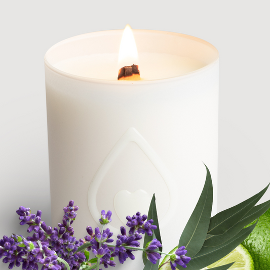CALMING Light Lavender Candle 60h