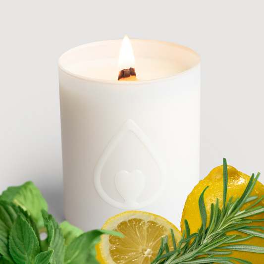 tea tree natural scented candle 40h
