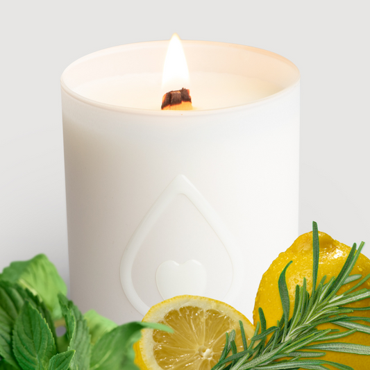 REFRESHING Tea Tree Candle 60h